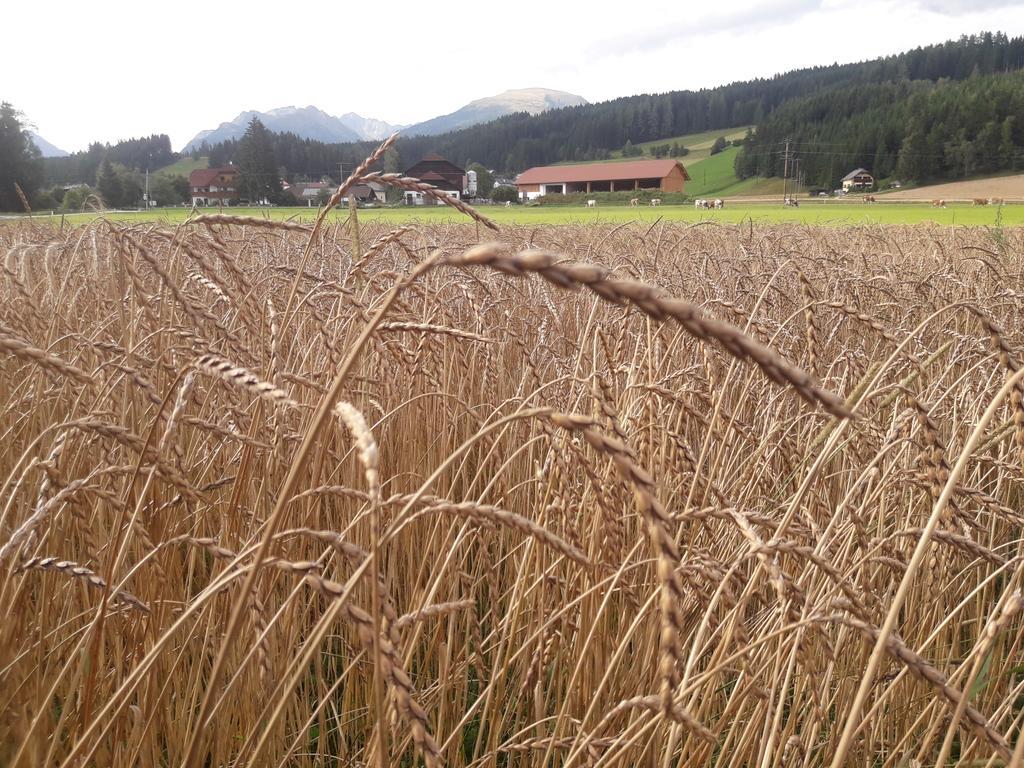 Bio Bauernhof Schoberhof Villa Sankt Andrä im Lungau Eksteriør bilde