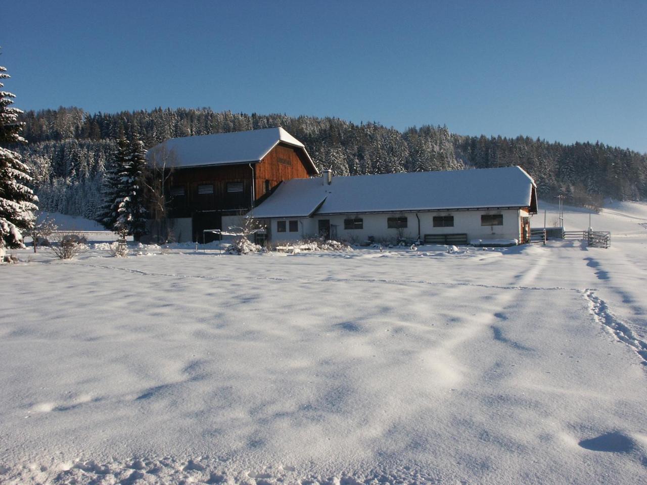 Bio Bauernhof Schoberhof Villa Sankt Andrä im Lungau Eksteriør bilde
